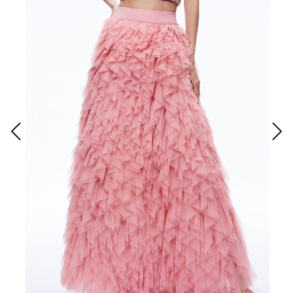 Alice + Olivia Set (skirt and top)